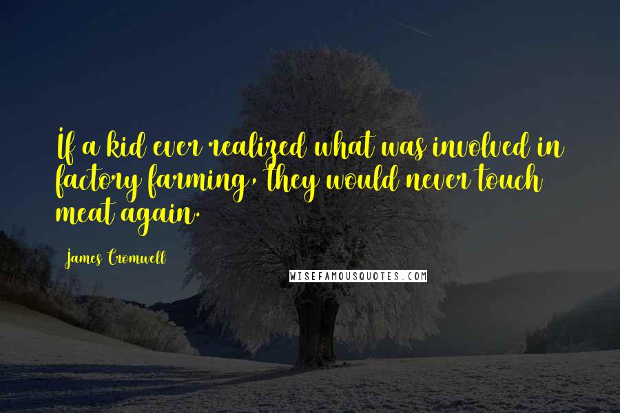 James Cromwell Quotes: If a kid ever realized what was involved in factory farming, they would never touch meat again.
