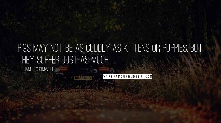 James Cromwell Quotes: Pigs may not be as cuddly as kittens or puppies, but they suffer just as much.