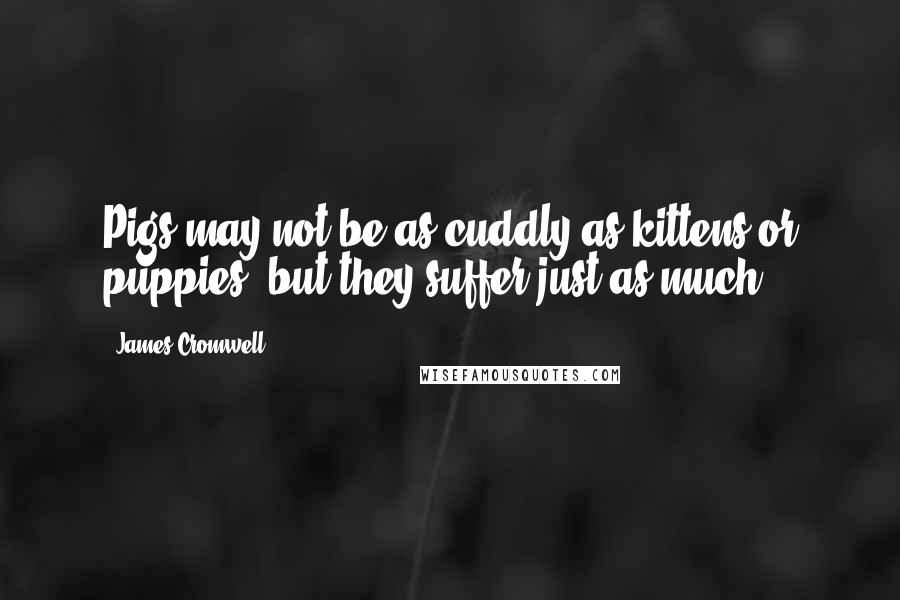 James Cromwell Quotes: Pigs may not be as cuddly as kittens or puppies, but they suffer just as much.