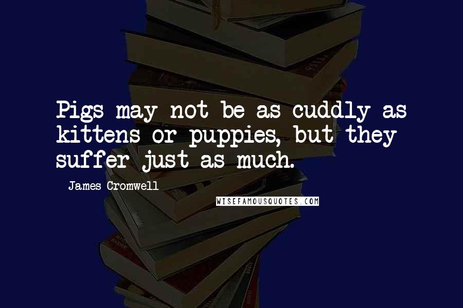 James Cromwell Quotes: Pigs may not be as cuddly as kittens or puppies, but they suffer just as much.