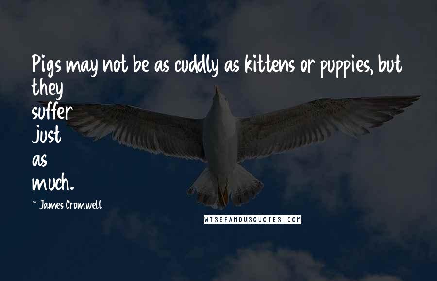 James Cromwell Quotes: Pigs may not be as cuddly as kittens or puppies, but they suffer just as much.