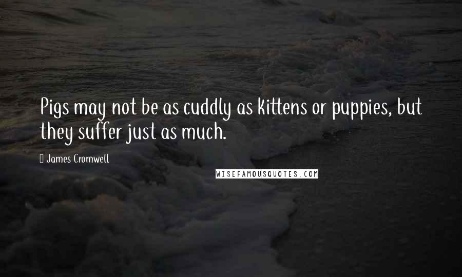 James Cromwell Quotes: Pigs may not be as cuddly as kittens or puppies, but they suffer just as much.