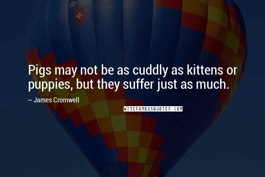 James Cromwell Quotes: Pigs may not be as cuddly as kittens or puppies, but they suffer just as much.