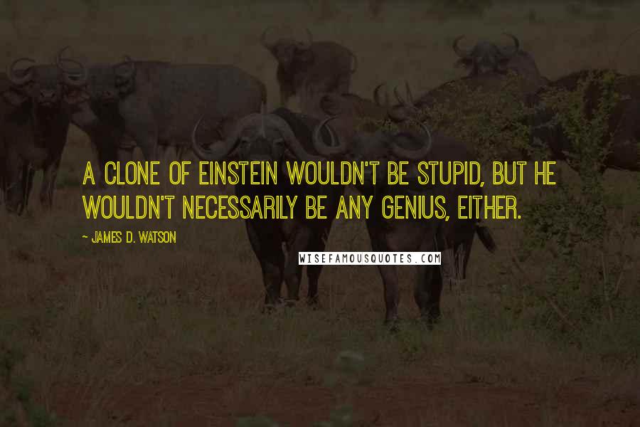 James D. Watson Quotes: A clone of Einstein wouldn't be stupid, but he wouldn't necessarily be any genius, either.