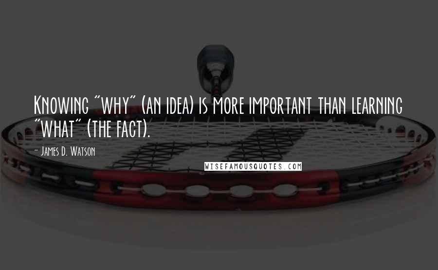 James D. Watson Quotes: Knowing "why" (an idea) is more important than learning "what" (the fact).