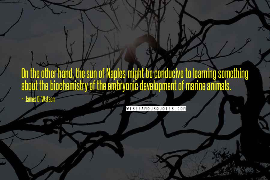 James D. Watson Quotes: On the other hand, the sun of Naples might be conducive to learning something about the biochemistry of the embryonic development of marine animals.