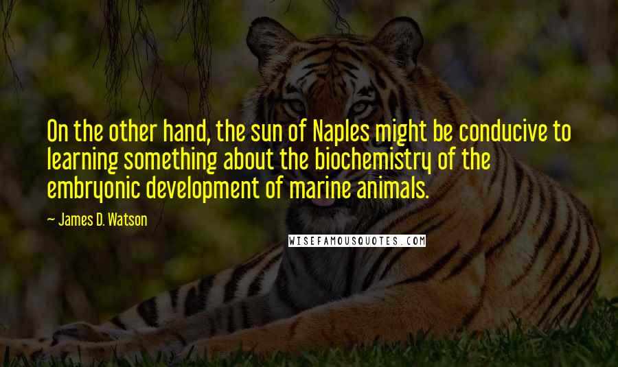 James D. Watson Quotes: On the other hand, the sun of Naples might be conducive to learning something about the biochemistry of the embryonic development of marine animals.