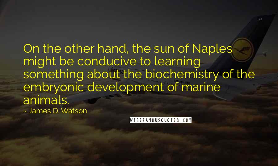 James D. Watson Quotes: On the other hand, the sun of Naples might be conducive to learning something about the biochemistry of the embryonic development of marine animals.