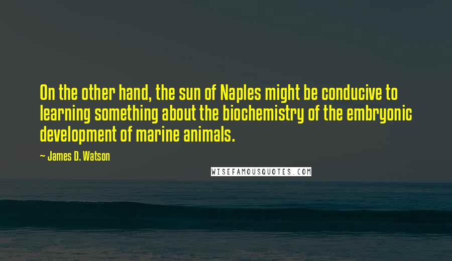 James D. Watson Quotes: On the other hand, the sun of Naples might be conducive to learning something about the biochemistry of the embryonic development of marine animals.