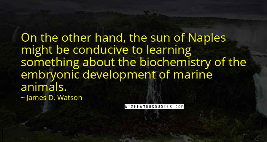 James D. Watson Quotes: On the other hand, the sun of Naples might be conducive to learning something about the biochemistry of the embryonic development of marine animals.