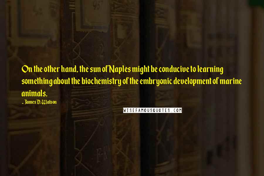 James D. Watson Quotes: On the other hand, the sun of Naples might be conducive to learning something about the biochemistry of the embryonic development of marine animals.