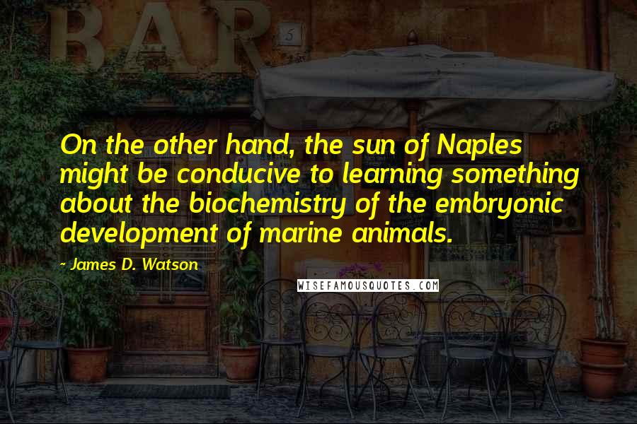 James D. Watson Quotes: On the other hand, the sun of Naples might be conducive to learning something about the biochemistry of the embryonic development of marine animals.