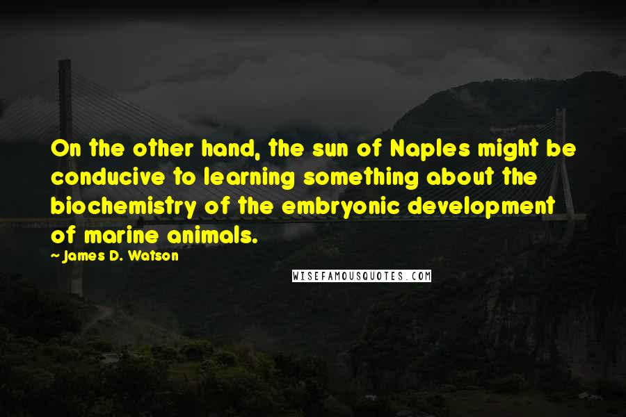 James D. Watson Quotes: On the other hand, the sun of Naples might be conducive to learning something about the biochemistry of the embryonic development of marine animals.