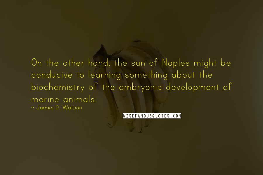 James D. Watson Quotes: On the other hand, the sun of Naples might be conducive to learning something about the biochemistry of the embryonic development of marine animals.