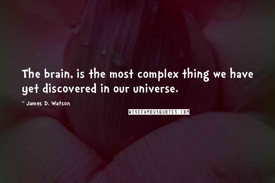 James D. Watson Quotes: The brain, is the most complex thing we have yet discovered in our universe.