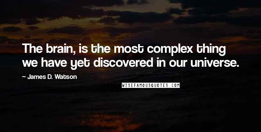 James D. Watson Quotes: The brain, is the most complex thing we have yet discovered in our universe.