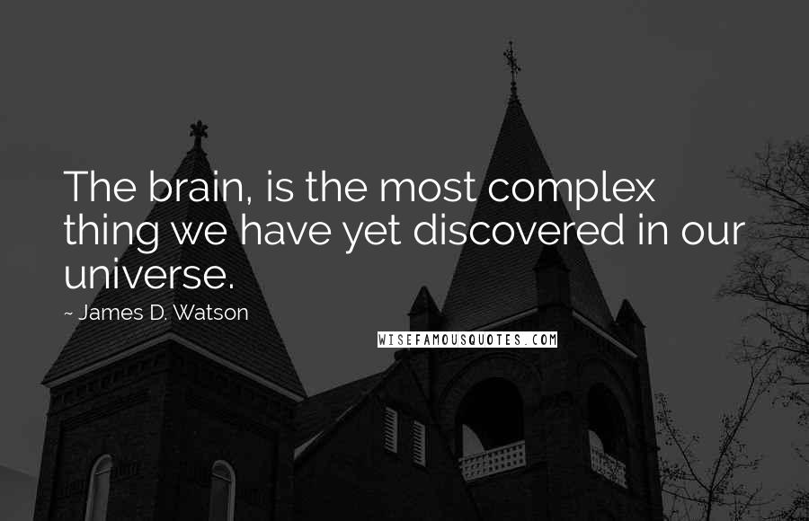 James D. Watson Quotes: The brain, is the most complex thing we have yet discovered in our universe.