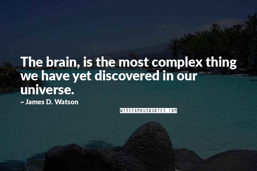 James D. Watson Quotes: The brain, is the most complex thing we have yet discovered in our universe.