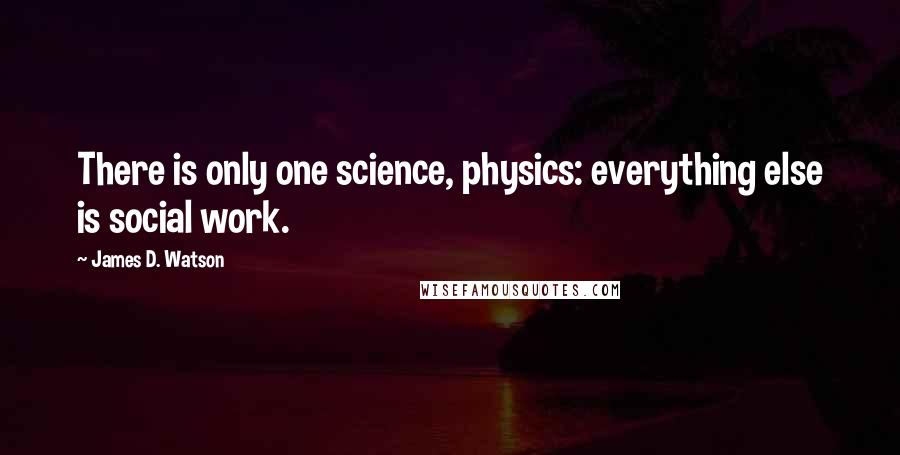 James D. Watson Quotes: There is only one science, physics: everything else is social work.