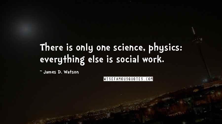 James D. Watson Quotes: There is only one science, physics: everything else is social work.