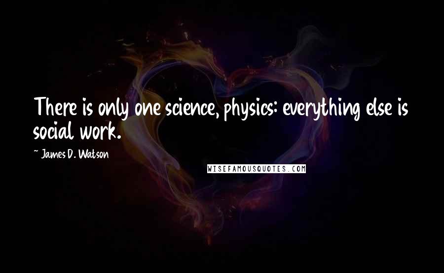 James D. Watson Quotes: There is only one science, physics: everything else is social work.