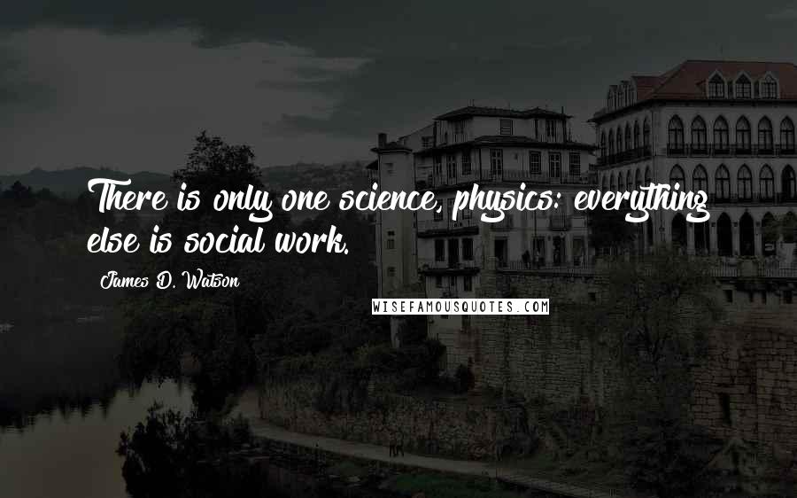 James D. Watson Quotes: There is only one science, physics: everything else is social work.