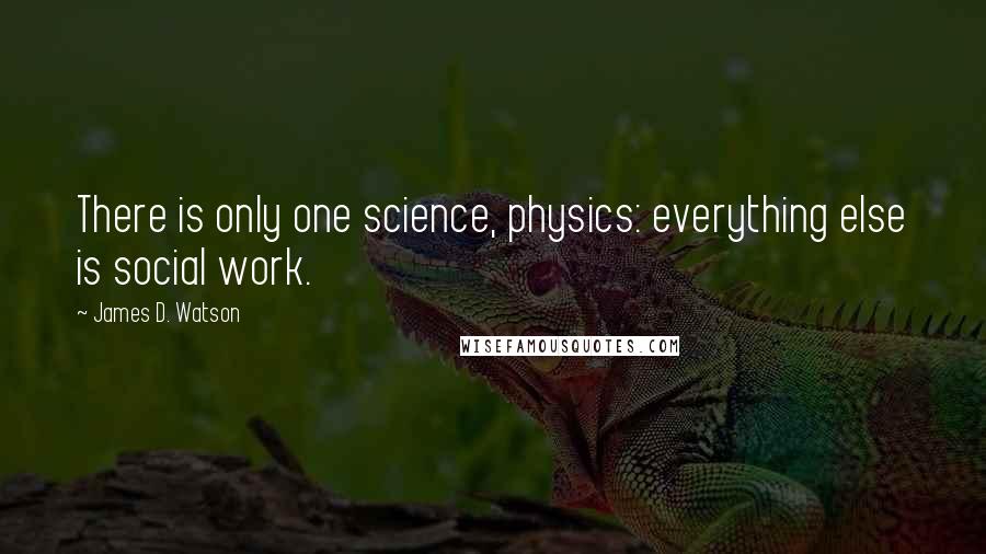 James D. Watson Quotes: There is only one science, physics: everything else is social work.