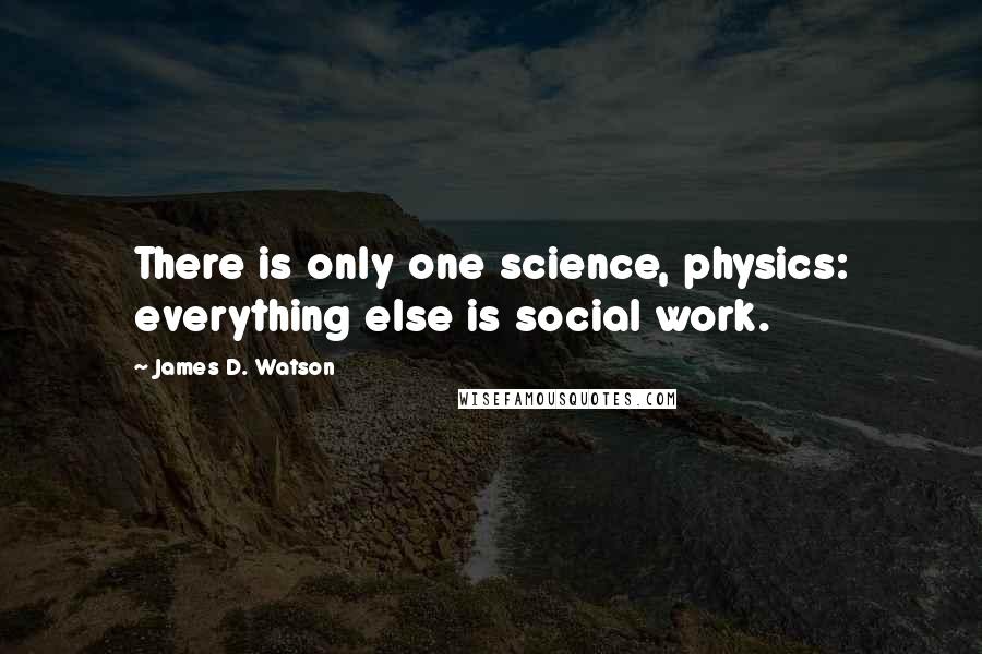 James D. Watson Quotes: There is only one science, physics: everything else is social work.