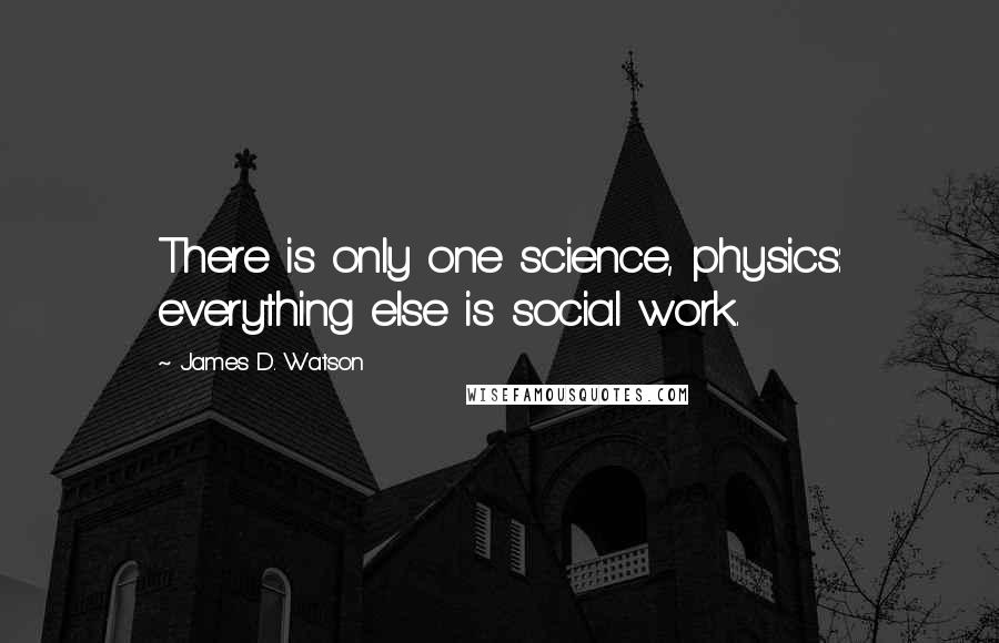 James D. Watson Quotes: There is only one science, physics: everything else is social work.