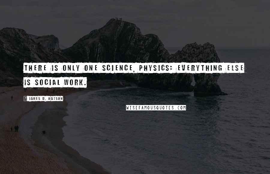 James D. Watson Quotes: There is only one science, physics: everything else is social work.