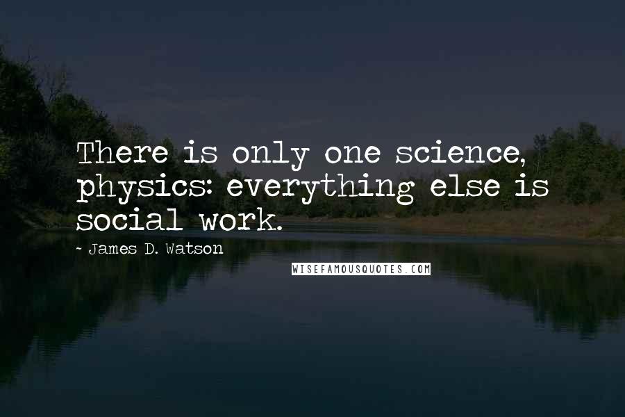 James D. Watson Quotes: There is only one science, physics: everything else is social work.