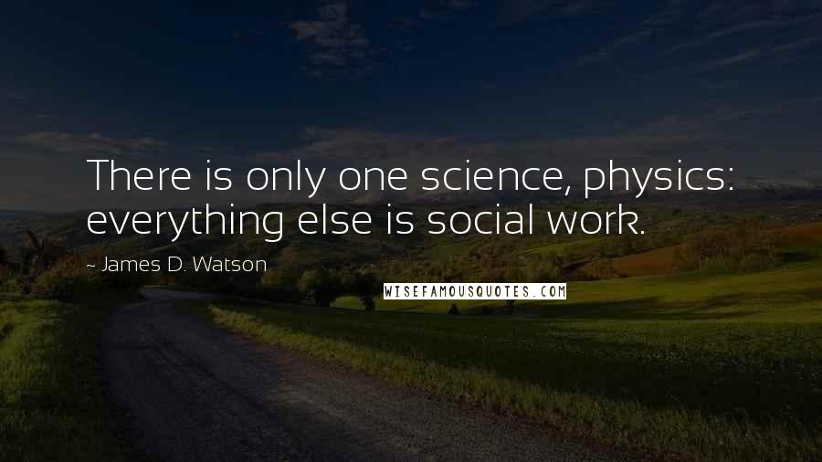 James D. Watson Quotes: There is only one science, physics: everything else is social work.