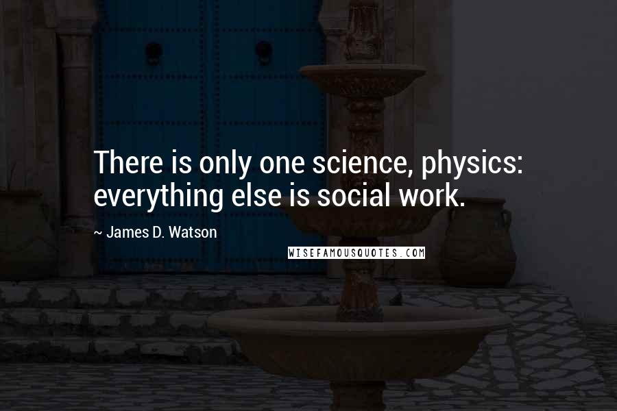 James D. Watson Quotes: There is only one science, physics: everything else is social work.