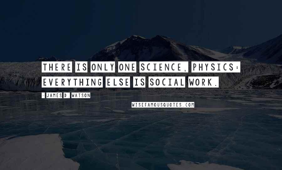 James D. Watson Quotes: There is only one science, physics: everything else is social work.