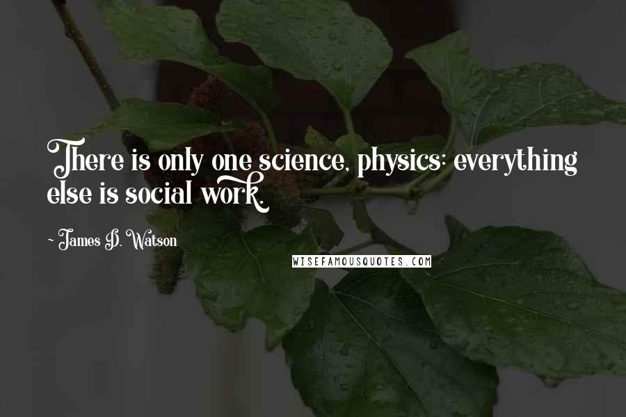 James D. Watson Quotes: There is only one science, physics: everything else is social work.