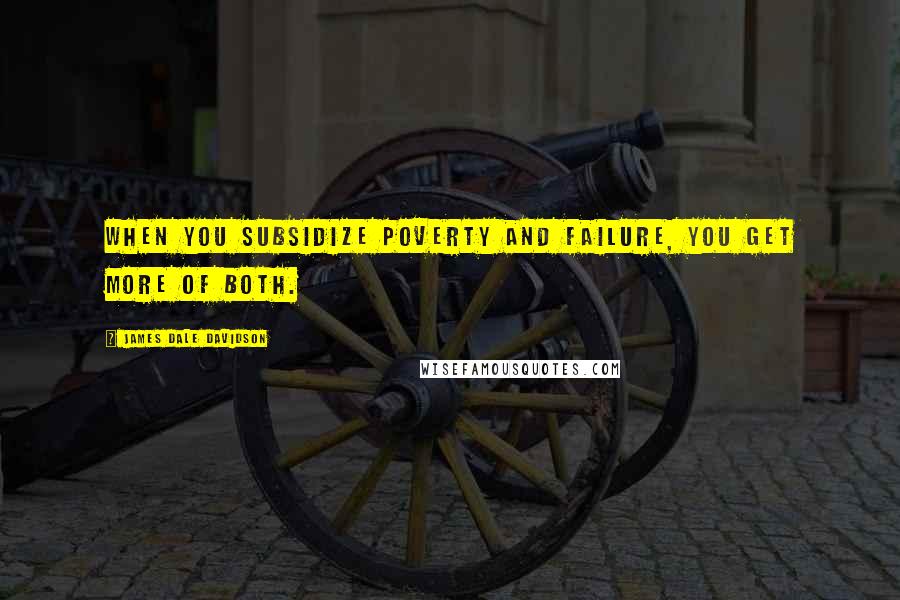 James Dale Davidson Quotes: When you subsidize poverty and failure, you get more of both.