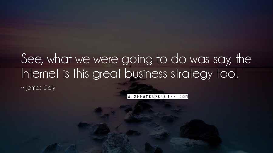 James Daly Quotes: See, what we were going to do was say, the Internet is this great business strategy tool.