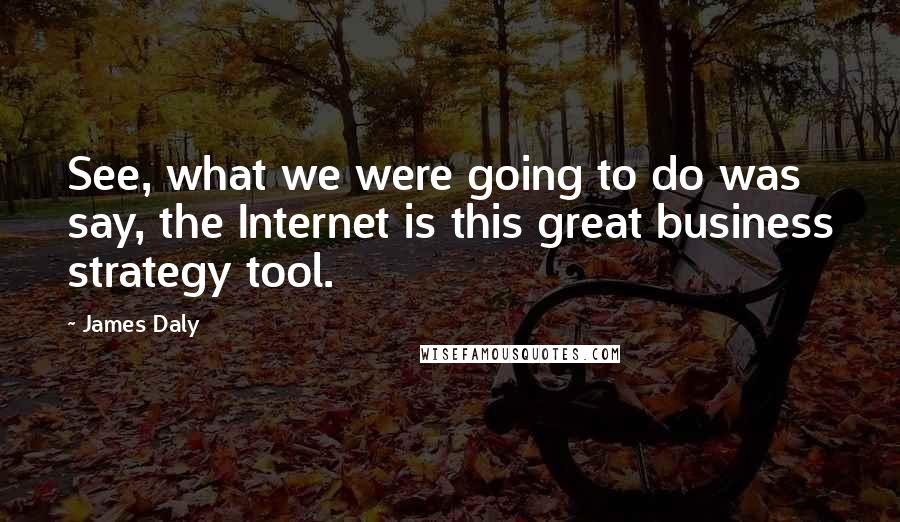 James Daly Quotes: See, what we were going to do was say, the Internet is this great business strategy tool.