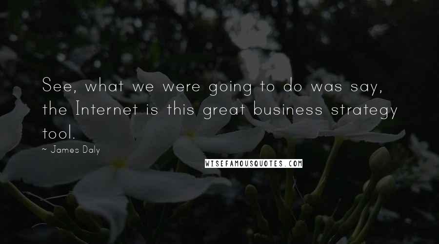 James Daly Quotes: See, what we were going to do was say, the Internet is this great business strategy tool.