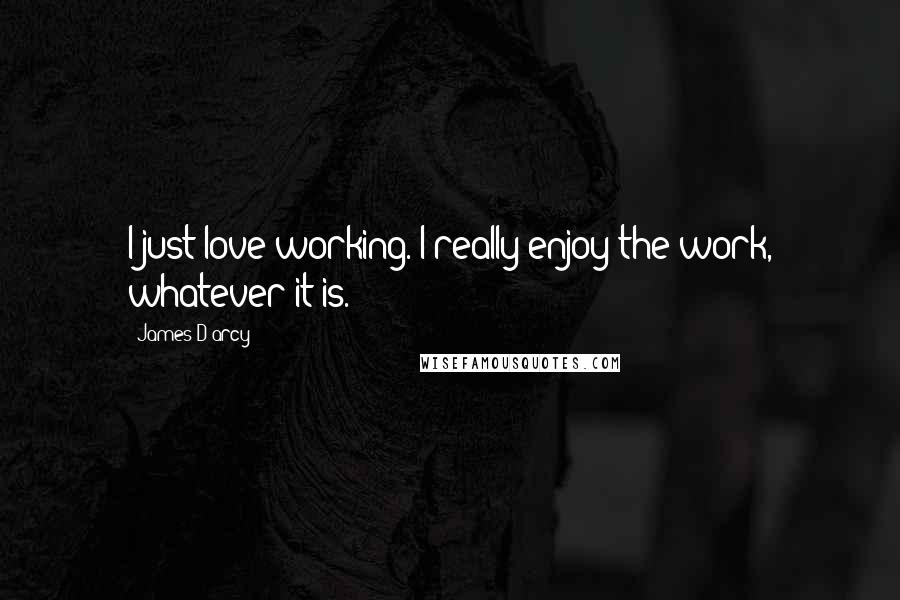 James D'arcy Quotes: I just love working. I really enjoy the work, whatever it is.