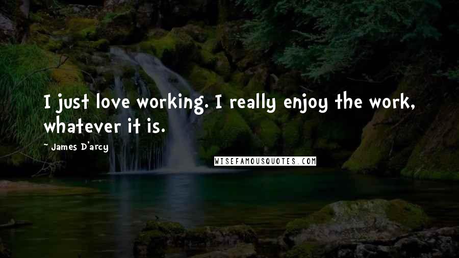 James D'arcy Quotes: I just love working. I really enjoy the work, whatever it is.