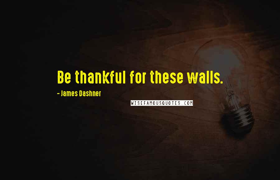 James Dashner Quotes: Be thankful for these walls.
