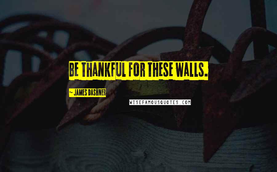 James Dashner Quotes: Be thankful for these walls.