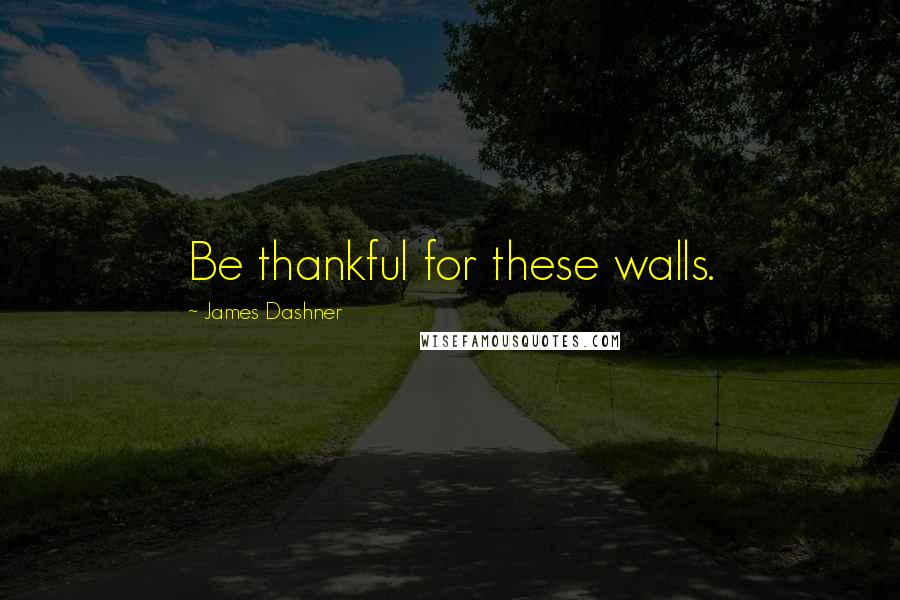 James Dashner Quotes: Be thankful for these walls.