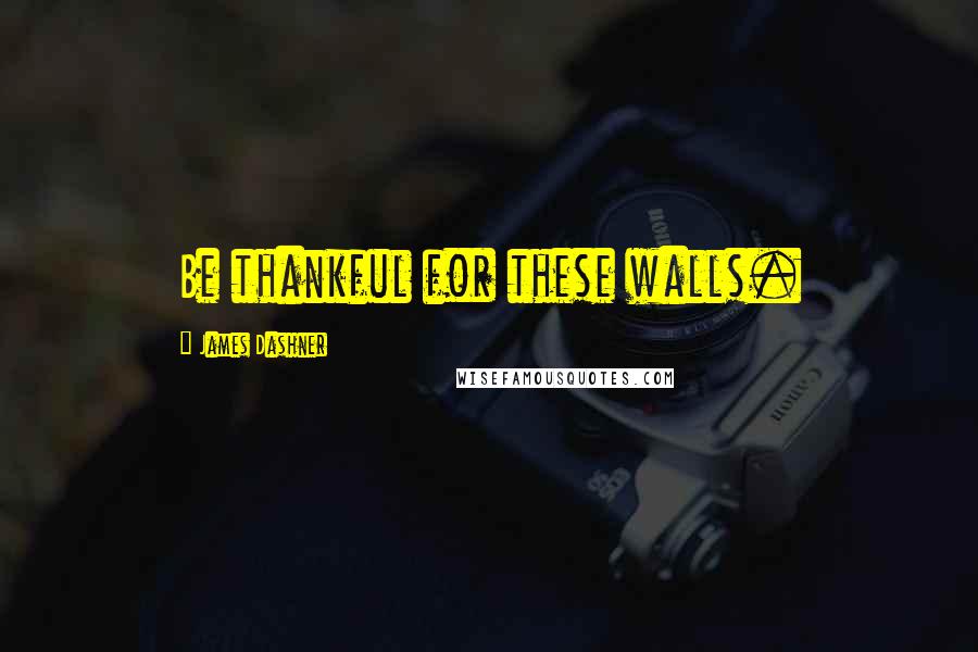 James Dashner Quotes: Be thankful for these walls.