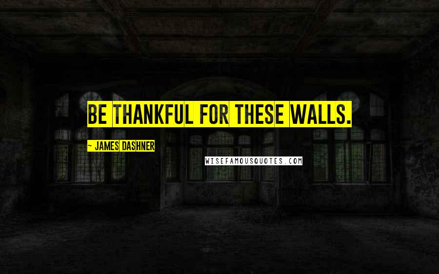 James Dashner Quotes: Be thankful for these walls.