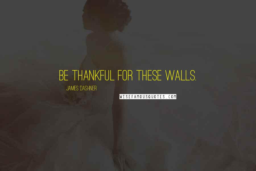 James Dashner Quotes: Be thankful for these walls.