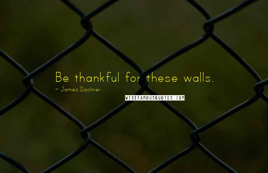 James Dashner Quotes: Be thankful for these walls.