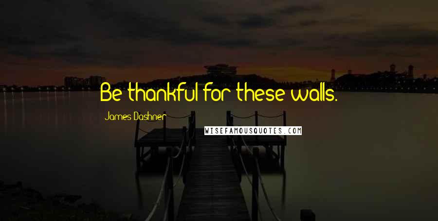 James Dashner Quotes: Be thankful for these walls.