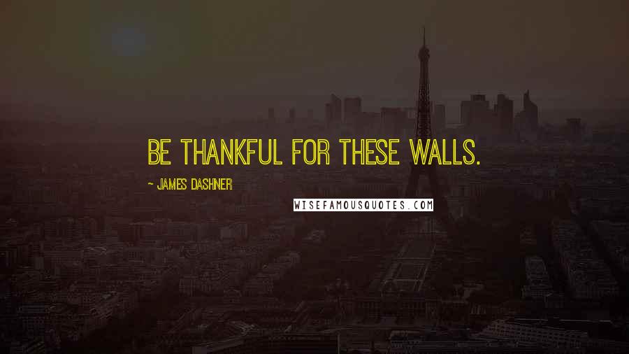 James Dashner Quotes: Be thankful for these walls.